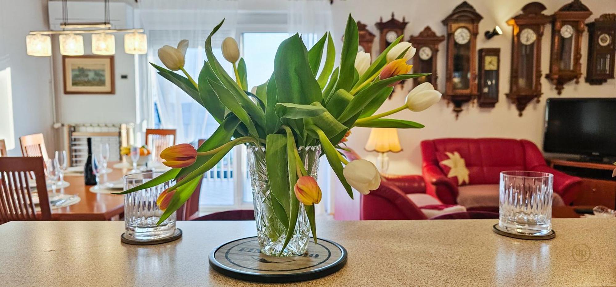 Aria Superior Apartment, Seaview & Wellness Portorož Dış mekan fotoğraf